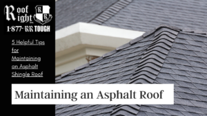 Maintaining an Asphalt Shingle Roof