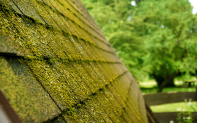 Best Way To Remove Moss From Your Roof
