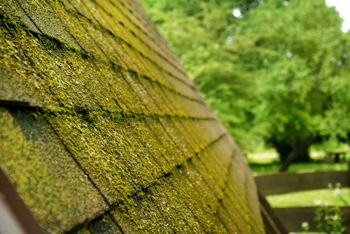 Best Way To Remove Moss From Your Roof