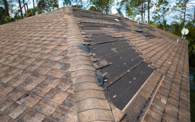 Signs You Need A Roof Replacement In Annapolis, MD