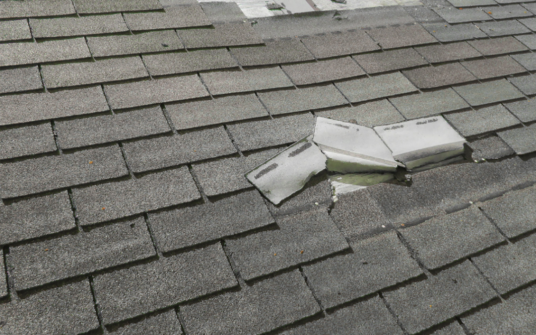 Best Type Of Roofing Shingles For Homes In Rockville, MD