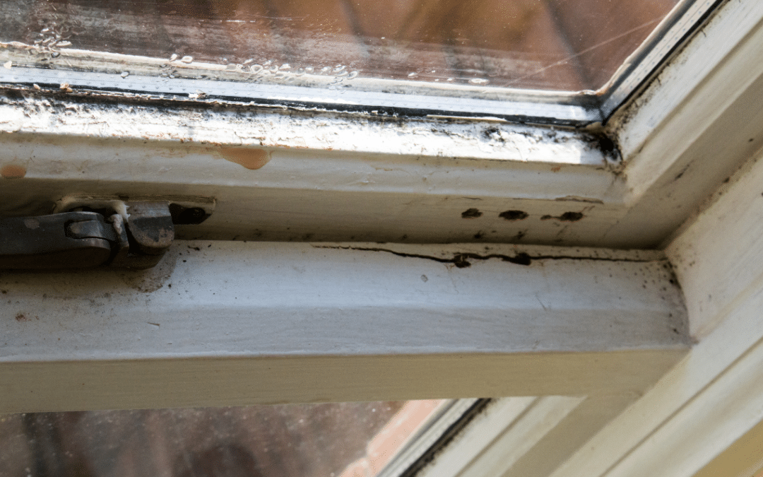 Top Causes And Fixes For A Leaking Window