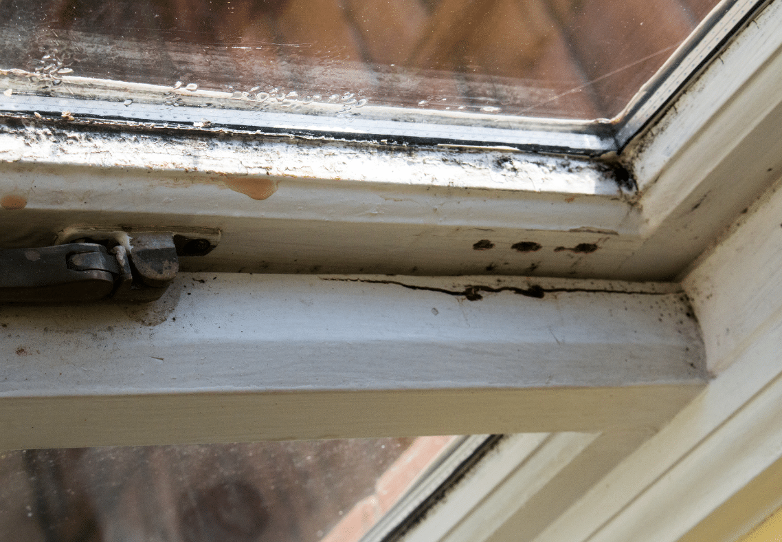 Top Causes And Fixes For A Leaking Window