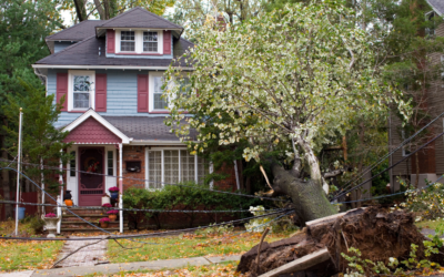 What Type Of Events Typically Call Roof Storm Damage?