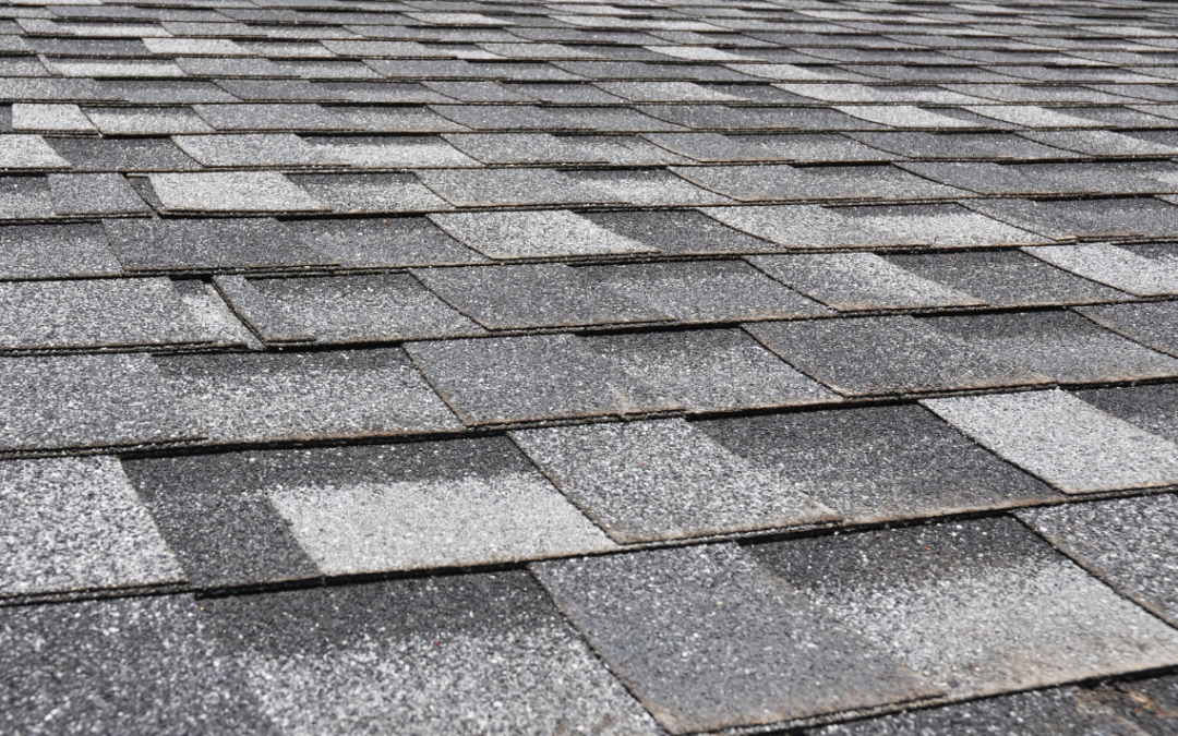 Best Roof Shingle Materials To Use for Annapolis Homeowners