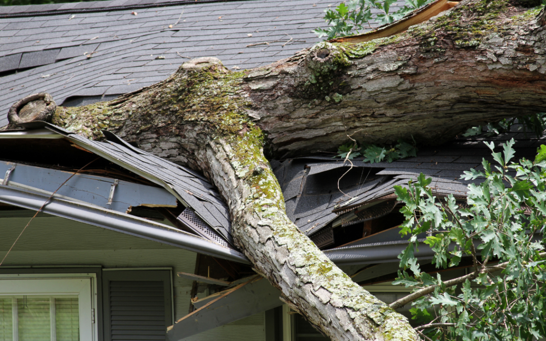 What Are The Most Common Causes Of Storm Damage To Roof In Maryland?