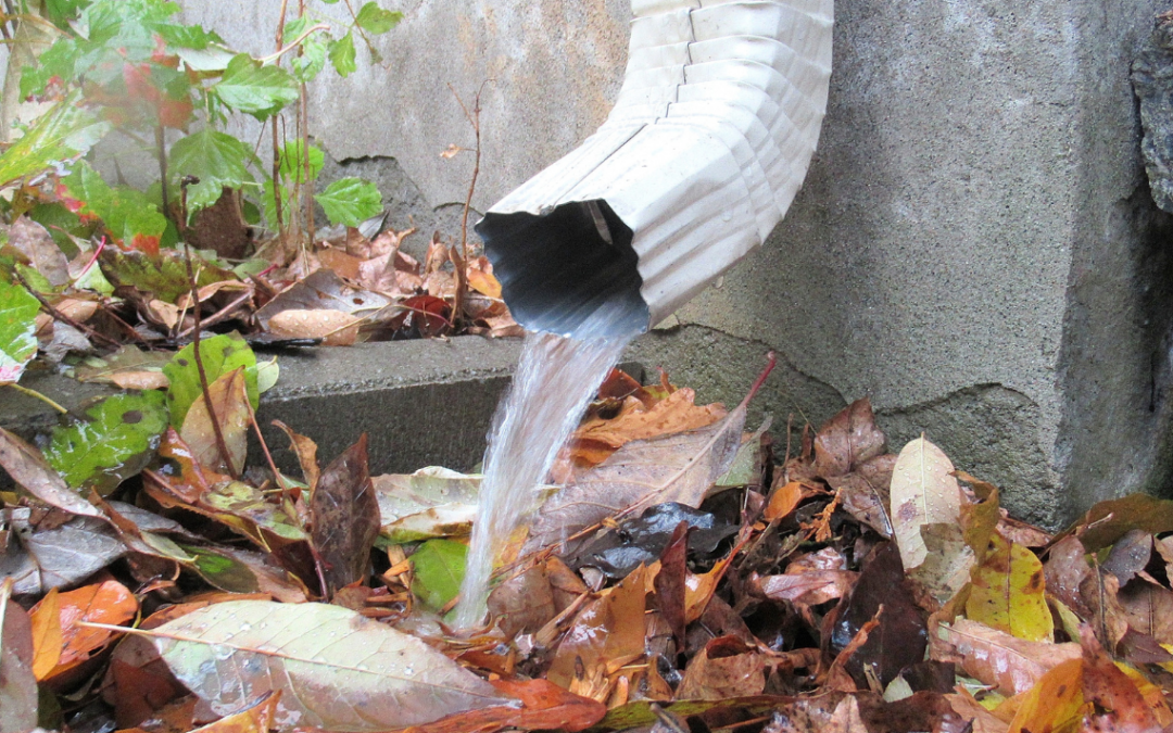 Determining How Many Downspouts Your Home Needs in Maryland