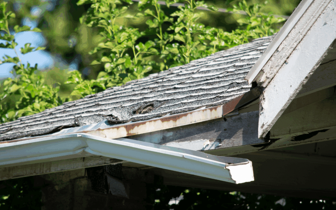 Roof Leak Repair Vs. Roof Replacement: Which Is Best For Maryland Homeowners?