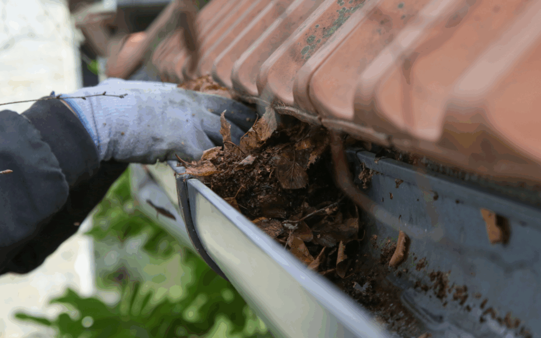 Can Clogged Gutters Cause Roof Leaks to My Maryland Home?