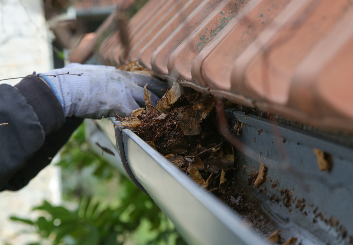 Can Clogged Gutters Cause Roof Leaks to My Maryland Home?