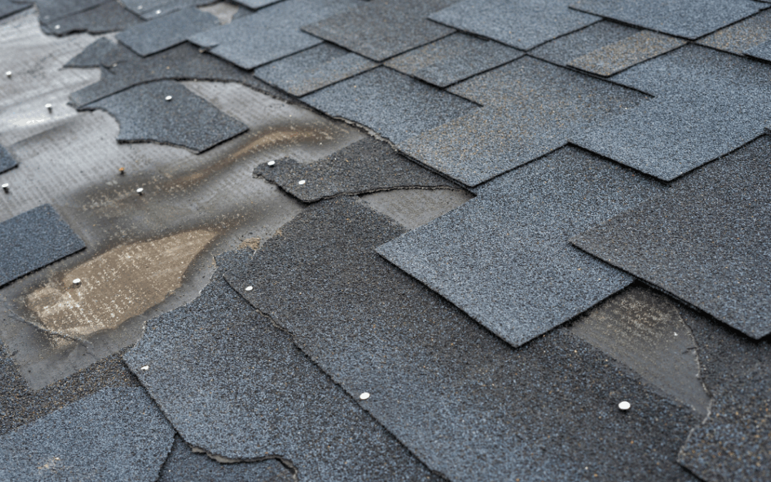 The Most Popular Roofing Shingle Colors In 2026