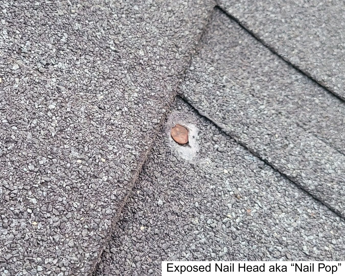 A Family-Owned and Operated Roofing and Exterior Remodeling Company Since 1994