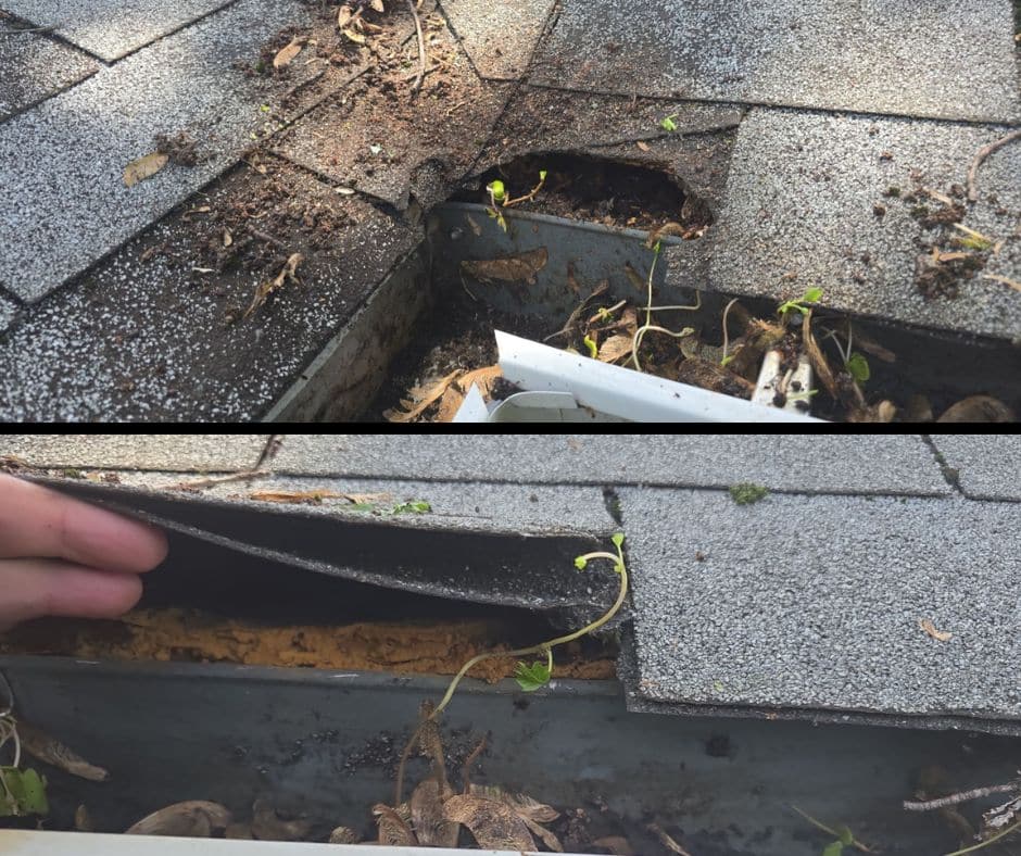 this is a compromised asphalt shingle roof in Aberdeen, MD.