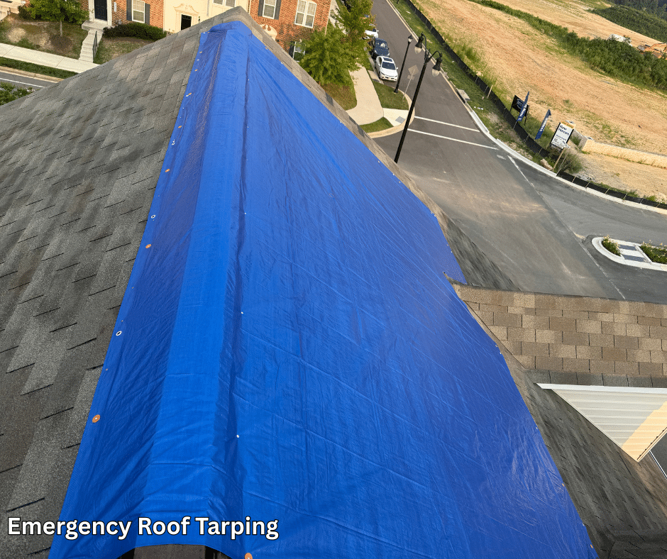 This is an image of an emergency roof tarping by Roof Right, following high winds that blew shingles off of this townhome. Blue tarp on top of asphalt shingles